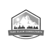 teakautoclaimsid.com